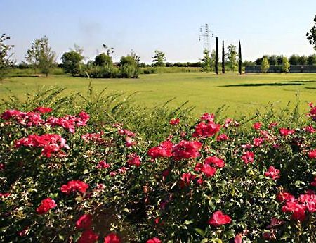 Country House Letizia Verona Exterior photo