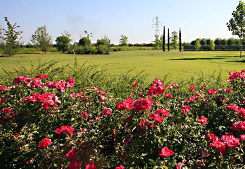 Country House Letizia Verona Exterior photo